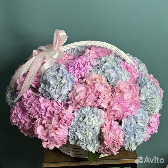 Букет из гортензий 21 31 51 101 гортензия