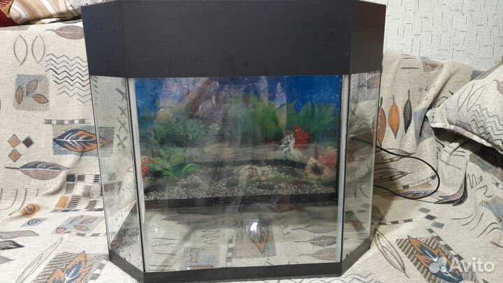 Аквариум