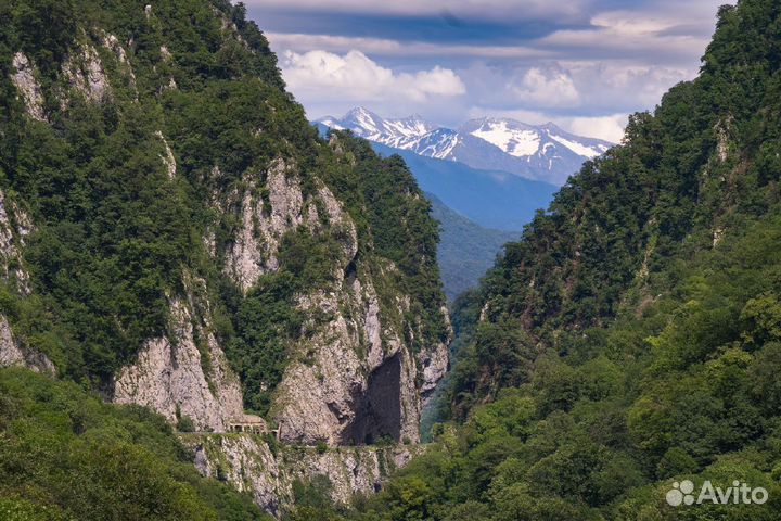 Машинист маневрового тепловоза