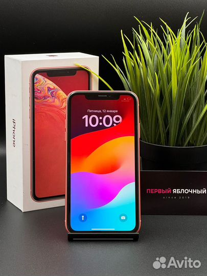 iPhone Xr, 64 ГБ