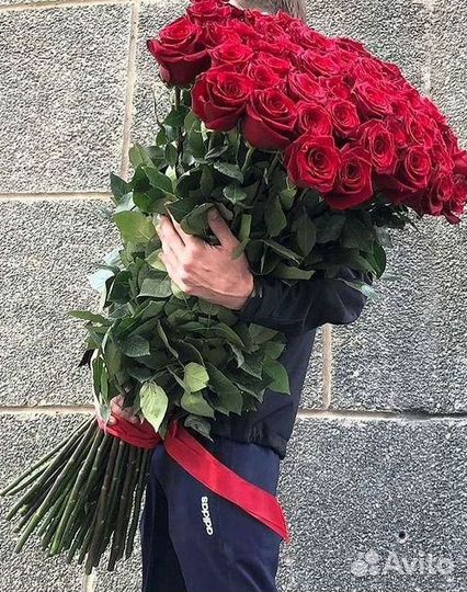 Розы гиганты 140 150 160 170 180 200