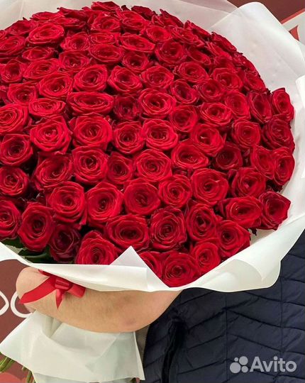 Метровые розы 110