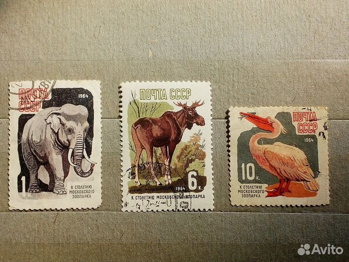 Марки СССР 1964 год. 100 лет зоопарку