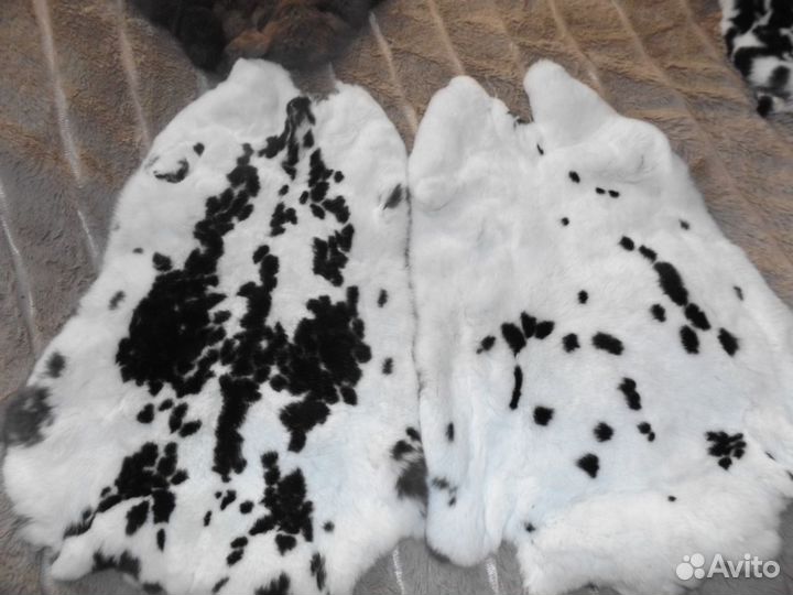 Мех кролика рекс