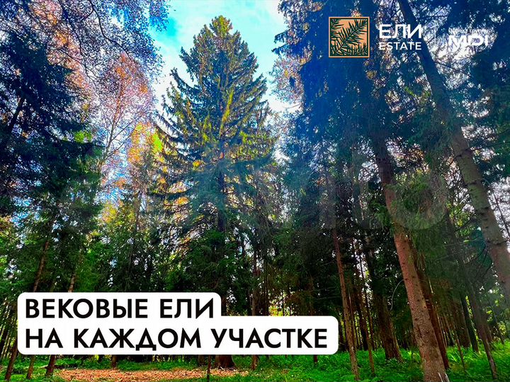 Участок 8 сот. (ИЖС)