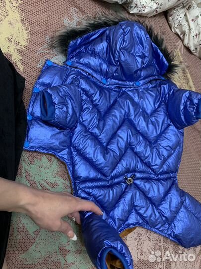 Одежда доя собаки