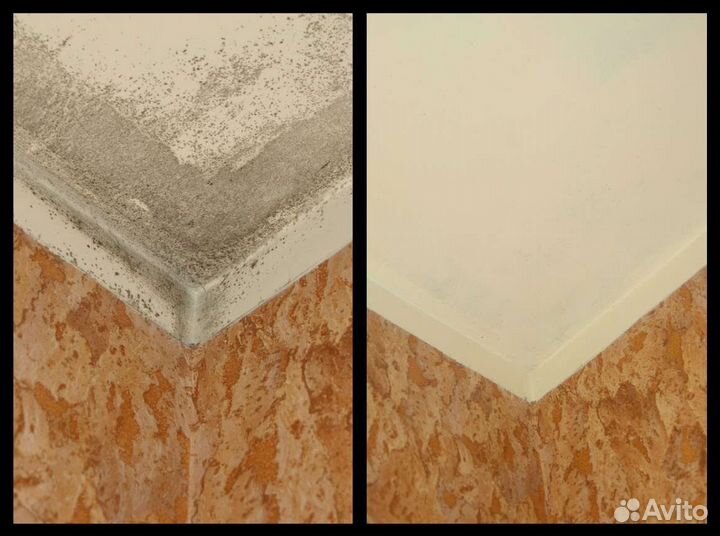 Уничтожение клопов и тараканов борщевика запахов