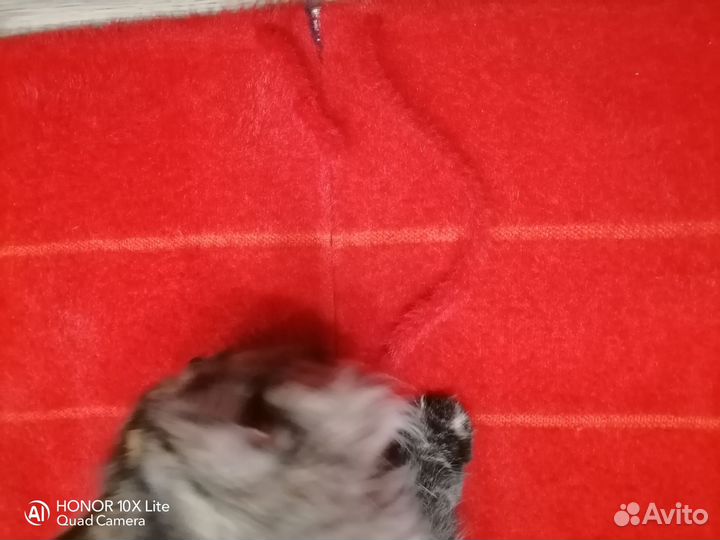 Кофта альпака(великан)жен. 72 размер