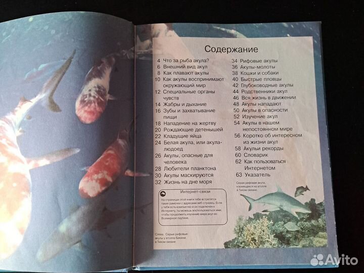 Детская энциклопедия росмэн