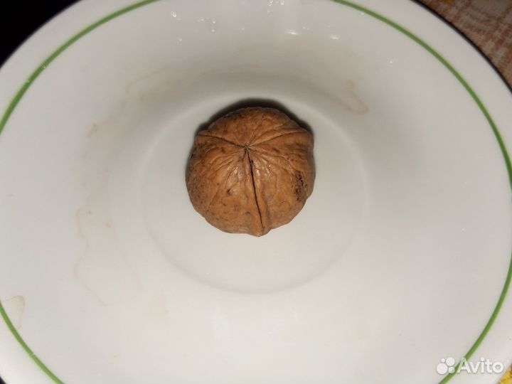 Талисман на удачу