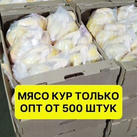 Курятина оптом