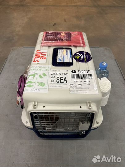 Отправка животных в США