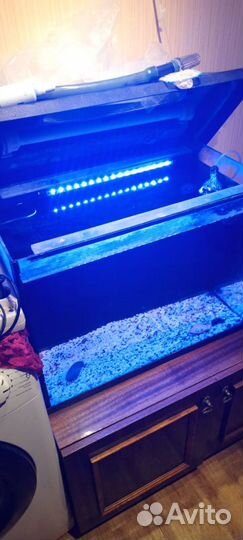 Декорация для аквариума, светильник