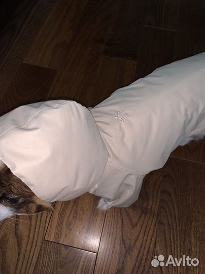 Дождевик для собаки