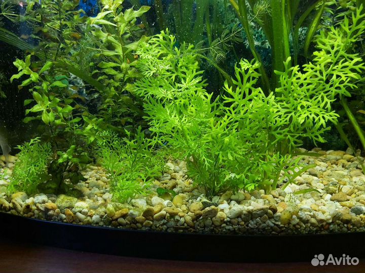 Украшение для аквариума