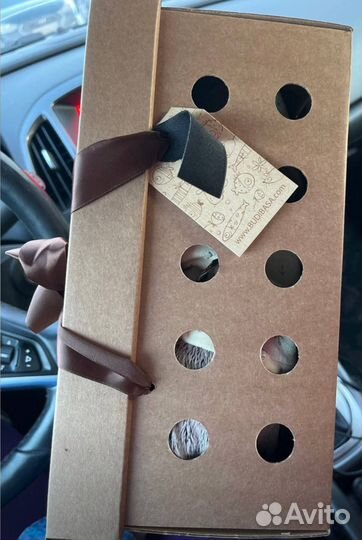 Кот Басик 22 см