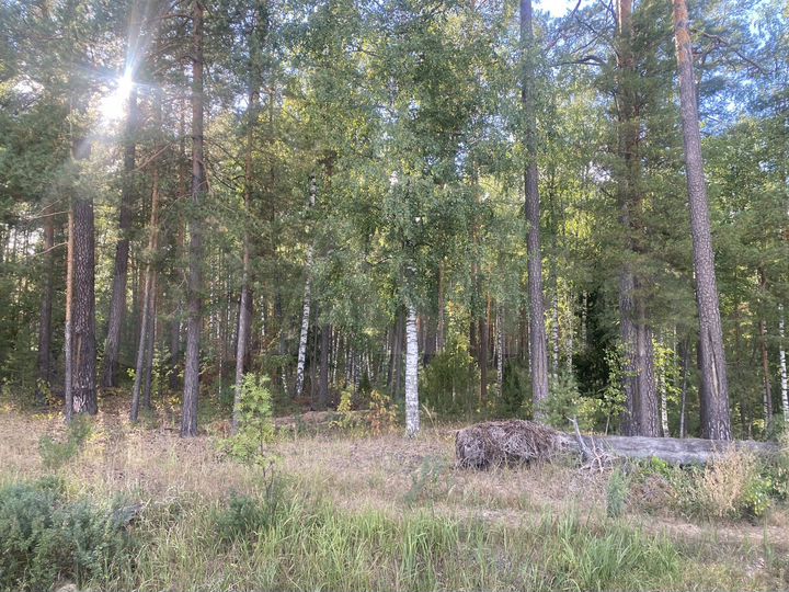 Дача 87 м² на участке 6 сот.