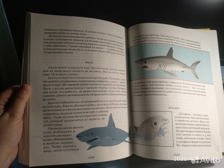 Большая книга знаний (для детей)