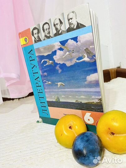 Литература 6 класс