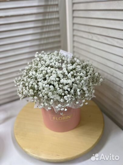 Гипсофила в коробке