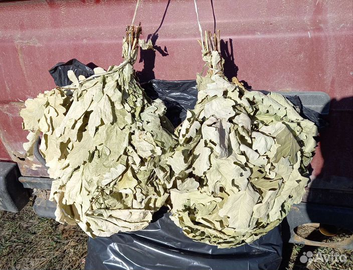 Банные веники дуб/пихта