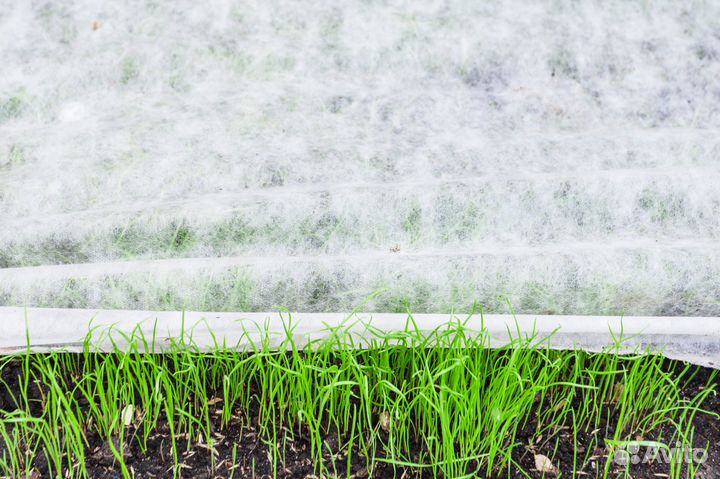 Спанбонд укрывной белый