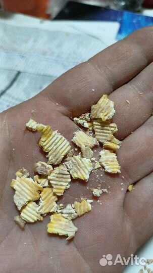 Плющенное зерно