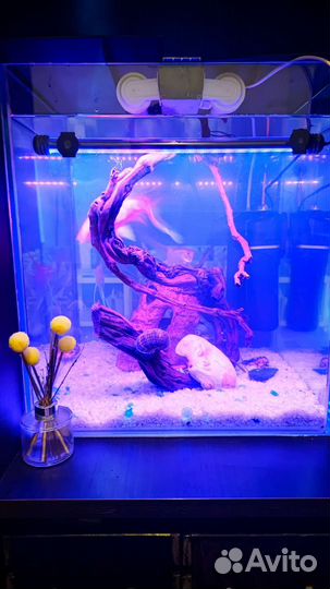 Аквариум 100л под ключ