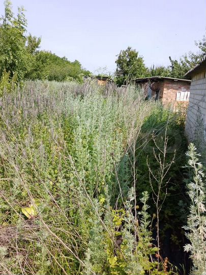 Дача 29 м² на участке 17 сот.