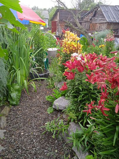 Коттедж 100 м² на участке 17,5 сот.