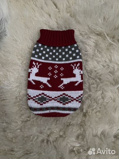 Одежда для собаки р.S новый