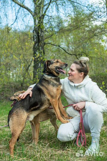 Умка ищет дом (собака из приюта)