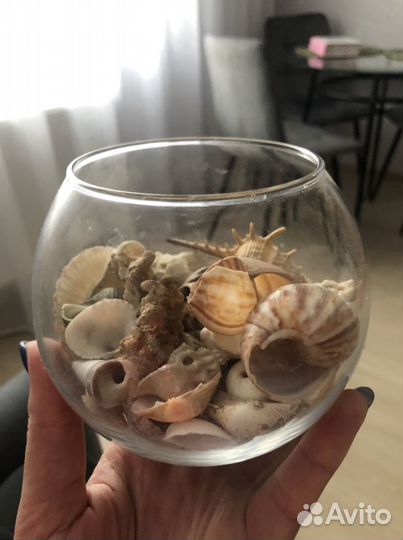 Интерьрная ваза с ракушками