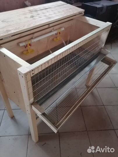 Клетки для перепелов