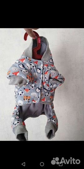 Товары для животных