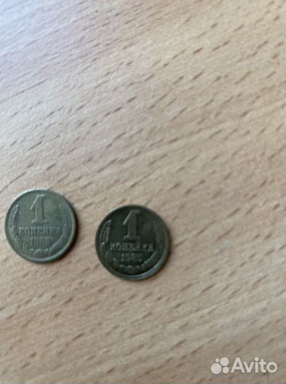 Одна копейка