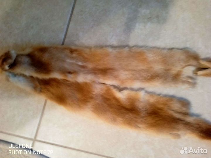 Шкурки норки