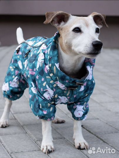 Комбинезон для собак
