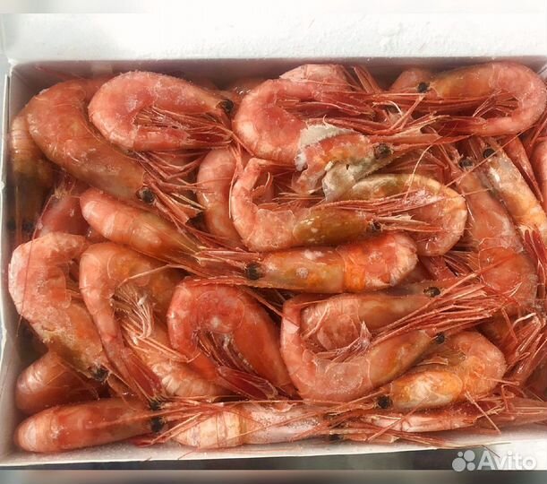 Креветка Северная