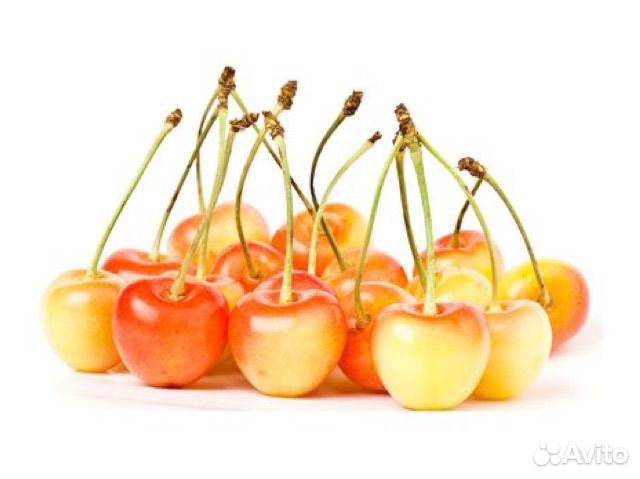 Экзотическая белая черешня чили 2,5кг