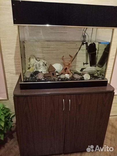 Аквариум