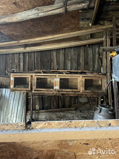 Клетка для кролика