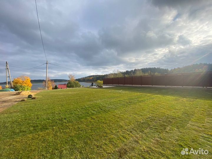 Свежий Элитный рулонный газон с укладкой