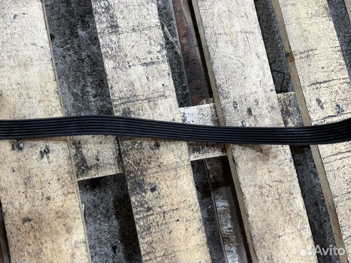 Ремень приводной Bmw 7 E38 M62B35 1999