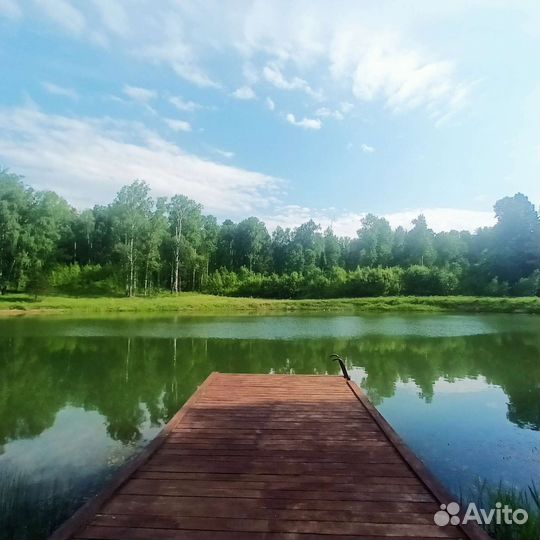 Аренда беседки у воды