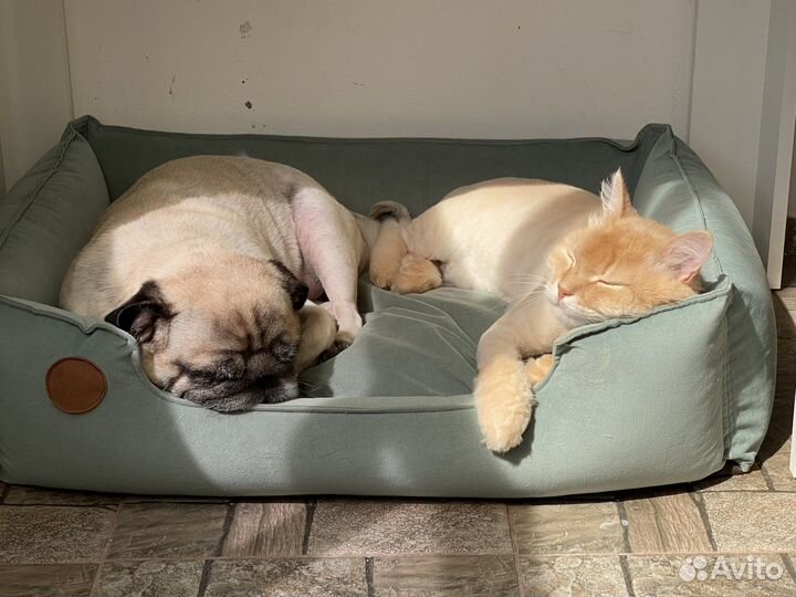 Лежанка для животных бу