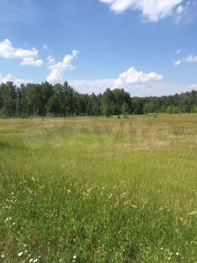 Участок 5 га (СНТ, ДНП)