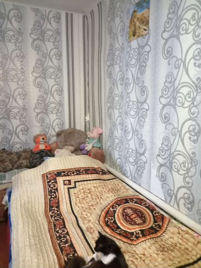 2-к. квартира, 49 м², 1/2 эт.