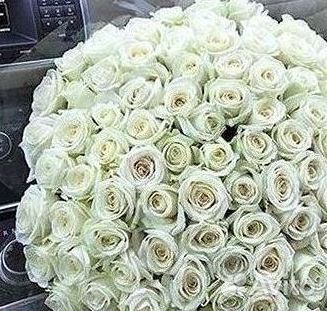 101 Роза Цветы Букеты 51 25 Роз Доставка