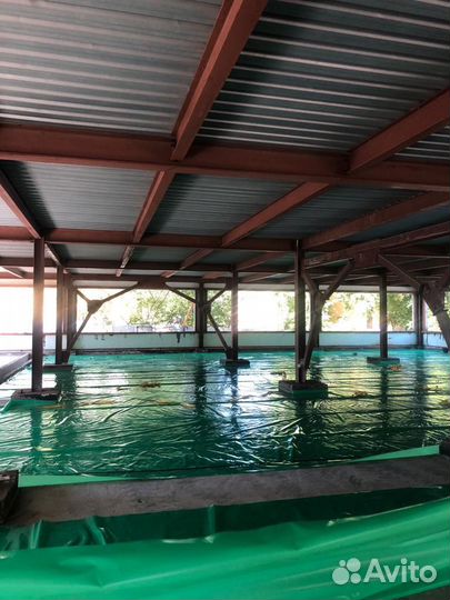 Огнезащита (огз), огнезащитная обработка